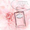 Infusion de rose de Prada